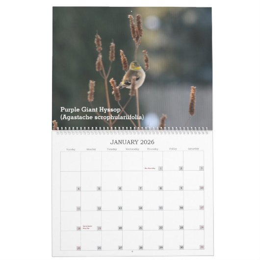 Nationale Pflanze durch die Saison Kalender (Jan 2026)