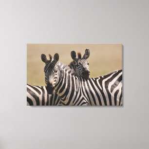 Nationale Reserve Masai-Maras, Kenia, 3 im Juli Leinwanddruck