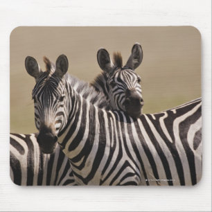 Nationale Reserve Masai-Maras, Kenia, 3 im Juli Mousepad