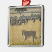 Nationale Reserve Masai-Maras, Kenia, Afrika Silbernes Ornament (Links)
