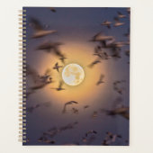 Nationale Schutzhütte Bosque del Apache Planer (Vorderseite)