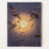 Nationale Schutzhütte Bosque del Apache Planer (Rückseite)