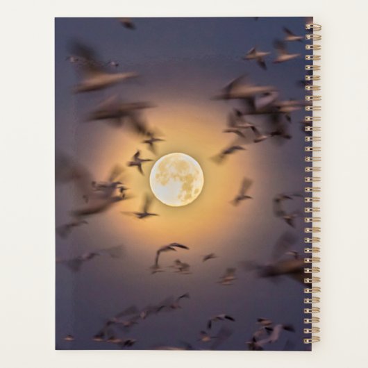 Nationale Schutzhütte Bosque del Apache Planer (Rückseite)