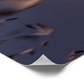 Nationale Schutzhütte Bosque del Apache Poster (Ecke)