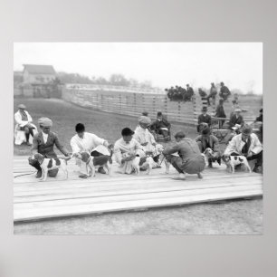 Nationaler Beagle-Verein von Amerika, 1914 Poster