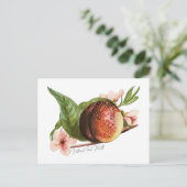 Nationaler Pfirsichmonat Postkarte (Stehend Vorderseite)