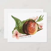 Nationaler Pfirsichmonat Postkarte (Vorne/Hinten)