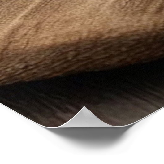 Nationaler Tag der Bananensplit Poster (Ecke)