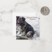 Nationaler Tag der Hunde Mitteilungskarte (Vorderseite/Rückseite Beispiel)