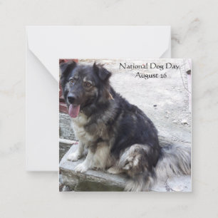 Nationaler Tag der Hunde Mitteilungskarte