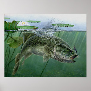 Nationales Bestes 2010 der Show durch A. Hunter Poster