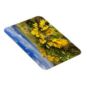 Nationales Bison-Gebiet Magnet (Rechte Seite)