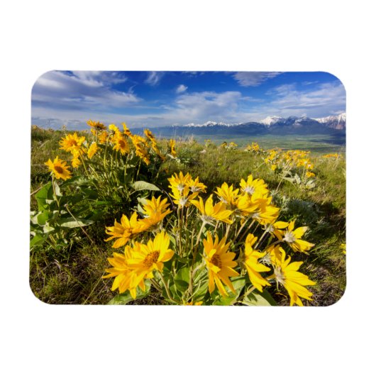 Nationales Bison-Gebiet Magnet (Horizontal)