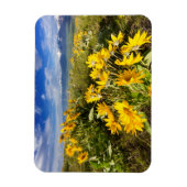 Nationales Bison-Gebiet Magnet (Vertikal)