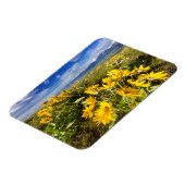 Nationales Bison-Gebiet Magnet (Linke Seite)