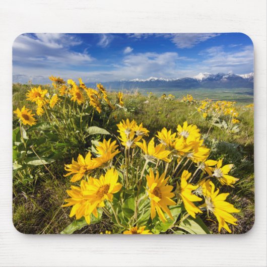 Nationales Bison-Gebiet Mousepad (Vorne)