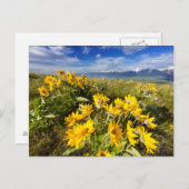 Nationales Bison-Gebiet Postkarte (Vorne/Hinten)
