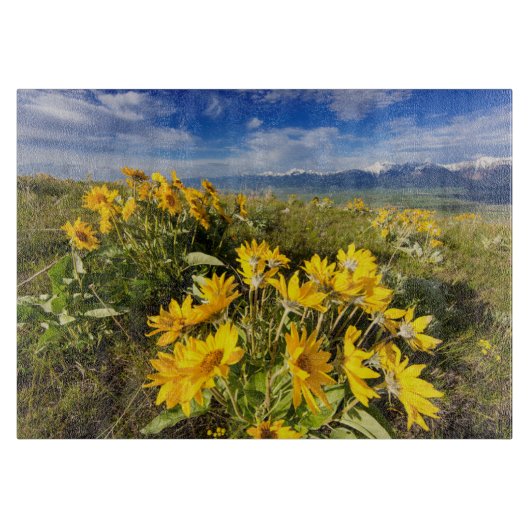 Nationales Bison-Gebiet Schneidebrett (Vorderseite)