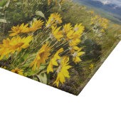 Nationales Bison-Gebiet Schneidebrett (Ecke)