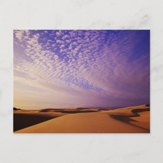 Nationales Erholungsgebiet der Oregon Dunes, Orego Postkarte (Vorderseite)