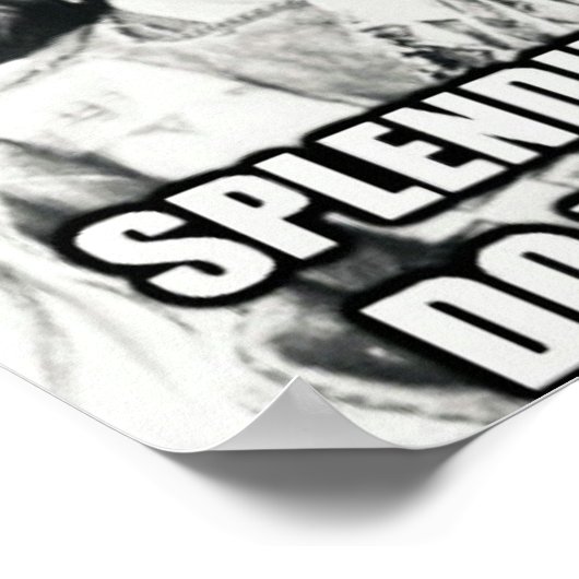 Nationales Immigrationspaket Poster (Ecke)