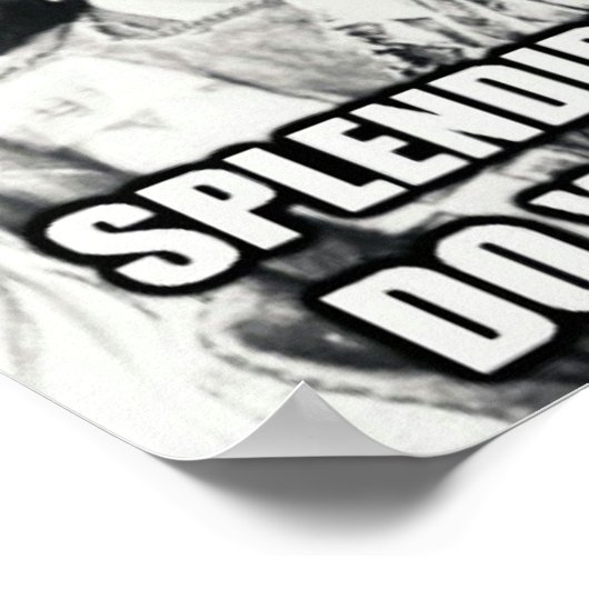 Nationales Immigrationspaket Poster (Ecke)