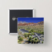 Nationales Schutzgebiet des Rock Canyon, Las Button (Vorne & Hinten)