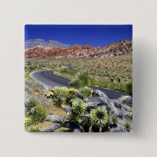 Nationales Schutzgebiet des Rock Canyon, Las Button (Vorderseite)