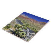 Nationales Schutzgebiet des Rock Canyon, Las Fliese (Seite)