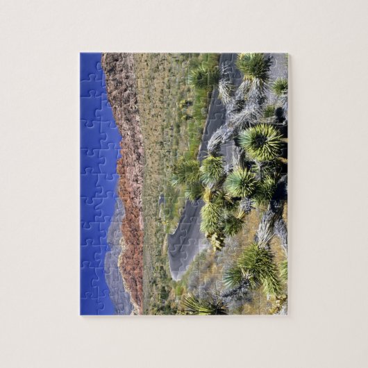 Nationales Schutzgebiet des Rock Canyon, Las Puzzle (Vertikal)