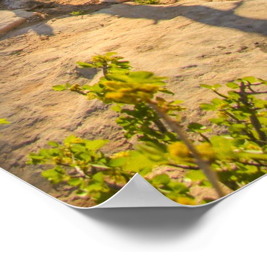 Nationalfeiertag Poster (Ecke)