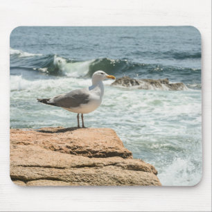 Nationalpark Acadia Maine Seagull Mousepad