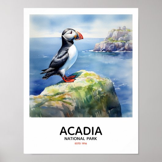 Nationalpark Acadia - Puffin Poster (Vorne)