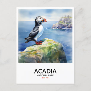 Nationalpark Acadia - Puffin Postkarte