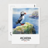 Nationalpark Acadia - Puffin Postkarte (Vorne/Hinten)