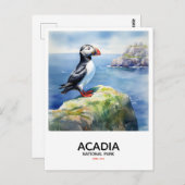 Nationalpark Acadia - Puffin Postkarte (Vorne/Hinten)