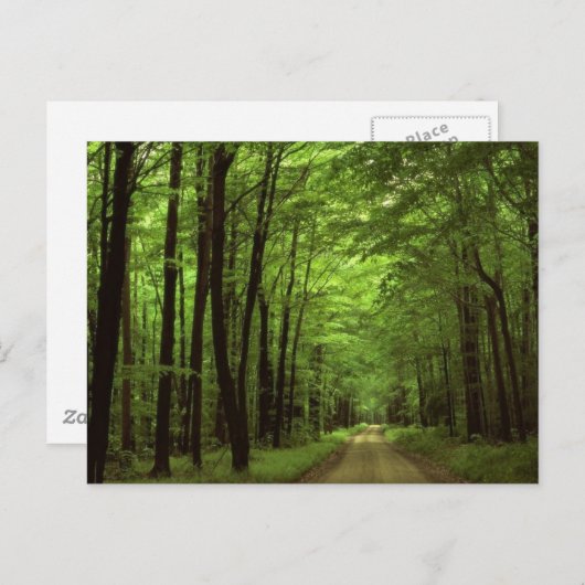 Nationalpark Allegheny, Pennsylvania Postkarte (Vorne/Hinten)