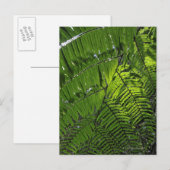Nationalpark Bach Ma Postkarte (Vorne/Hinten)