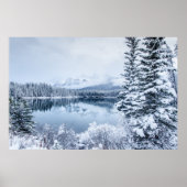 Nationalpark Banff im Winter Poster (Vorne)