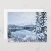 Nationalpark Banff im Winter Postkarte (Vorne/Hinten)