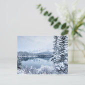 Nationalpark Banff im Winter Postkarte (Stehend Vorderseite)