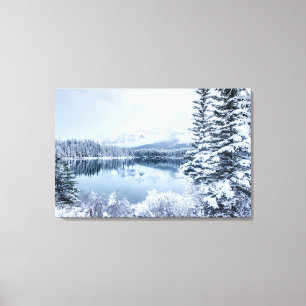 Nationalpark Banffs im Winter Leinwanddruck