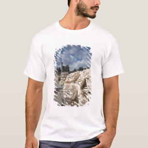 Nationalpark Beit She'an, Ruinen aus der Römerzeit T-Shirt