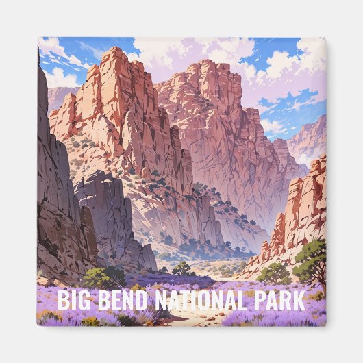 Nationalpark Big Bend Magnet (Vorne)