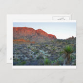 Nationalpark Big Bend Postkarte (Vorne/Hinten)