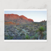 Nationalpark Big Bend Postkarte (Vorderseite)