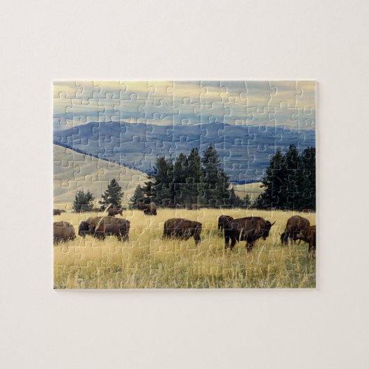 Nationalpark-Bison-Herde Puzzle (Horizontal)