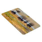 Nationalpark Bison River Crossing Yellowstone Magnet (Rechte Seite)