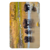 Nationalpark Bison River Crossing Yellowstone Magnet (Vertikal)