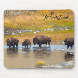 Nationalpark Bison River Crossing Yellowstone Mousepad